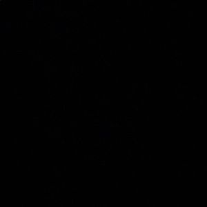 Meet your Posher, Almeta